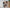 Muichiro & Rengoku Bookmark Set – Demon Slayer Hashira Collectible Bookmarks
