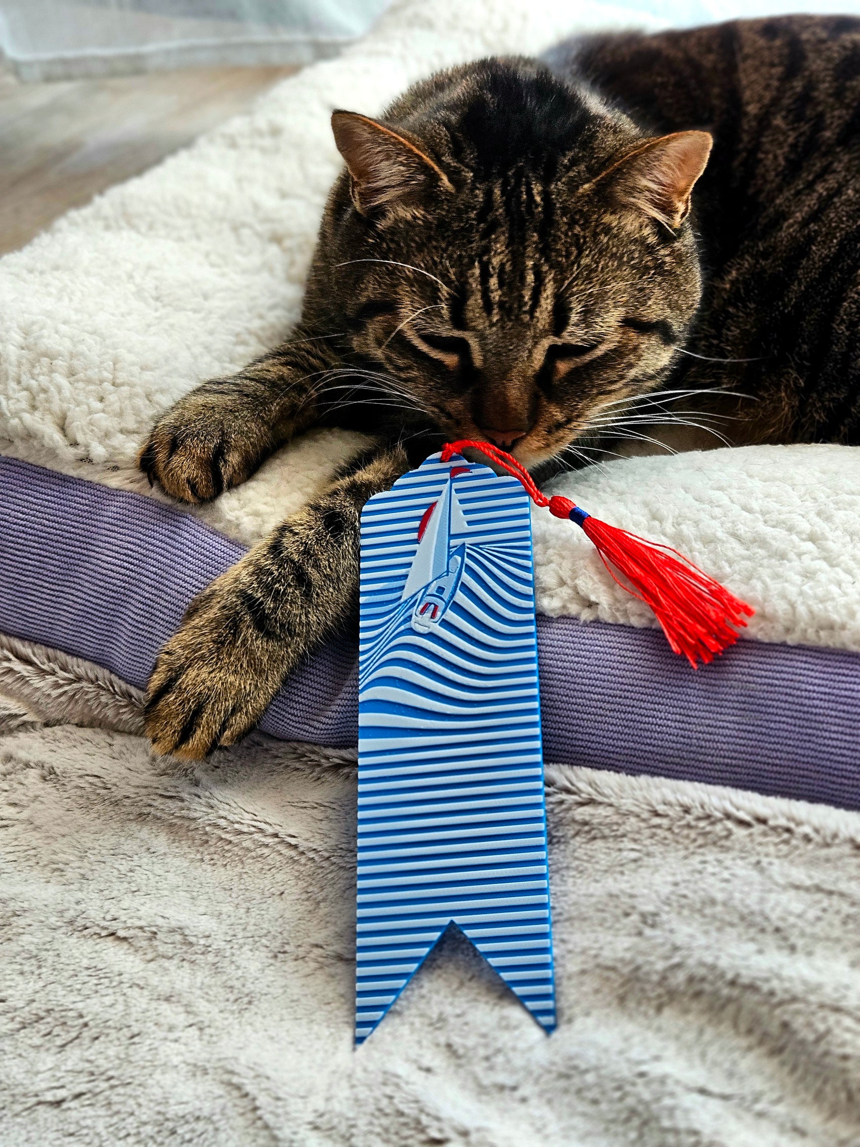 Sailboat Waves Bookmark with Red Tassel – Nautical Gift for Book Lovers